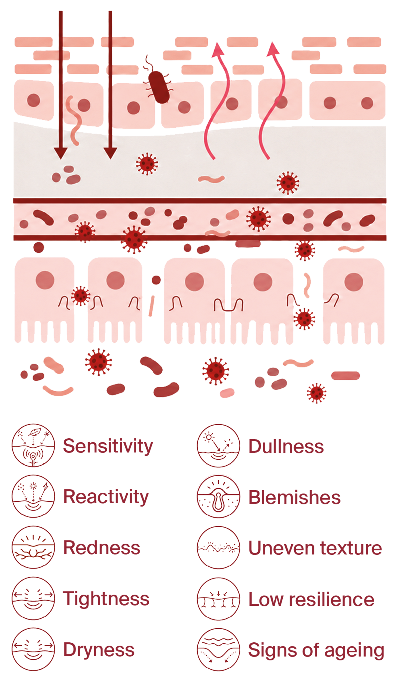 Skin Before
